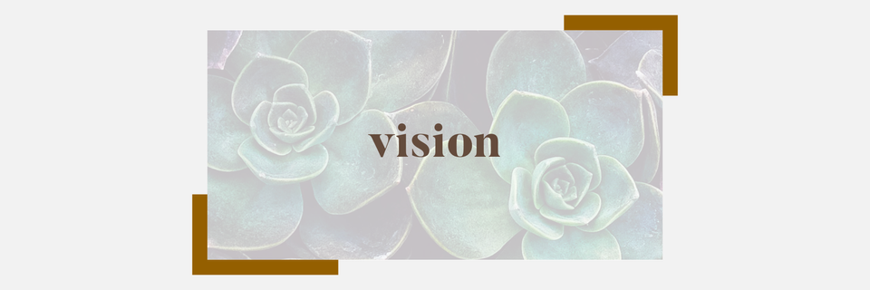 Week 1  |  Vision